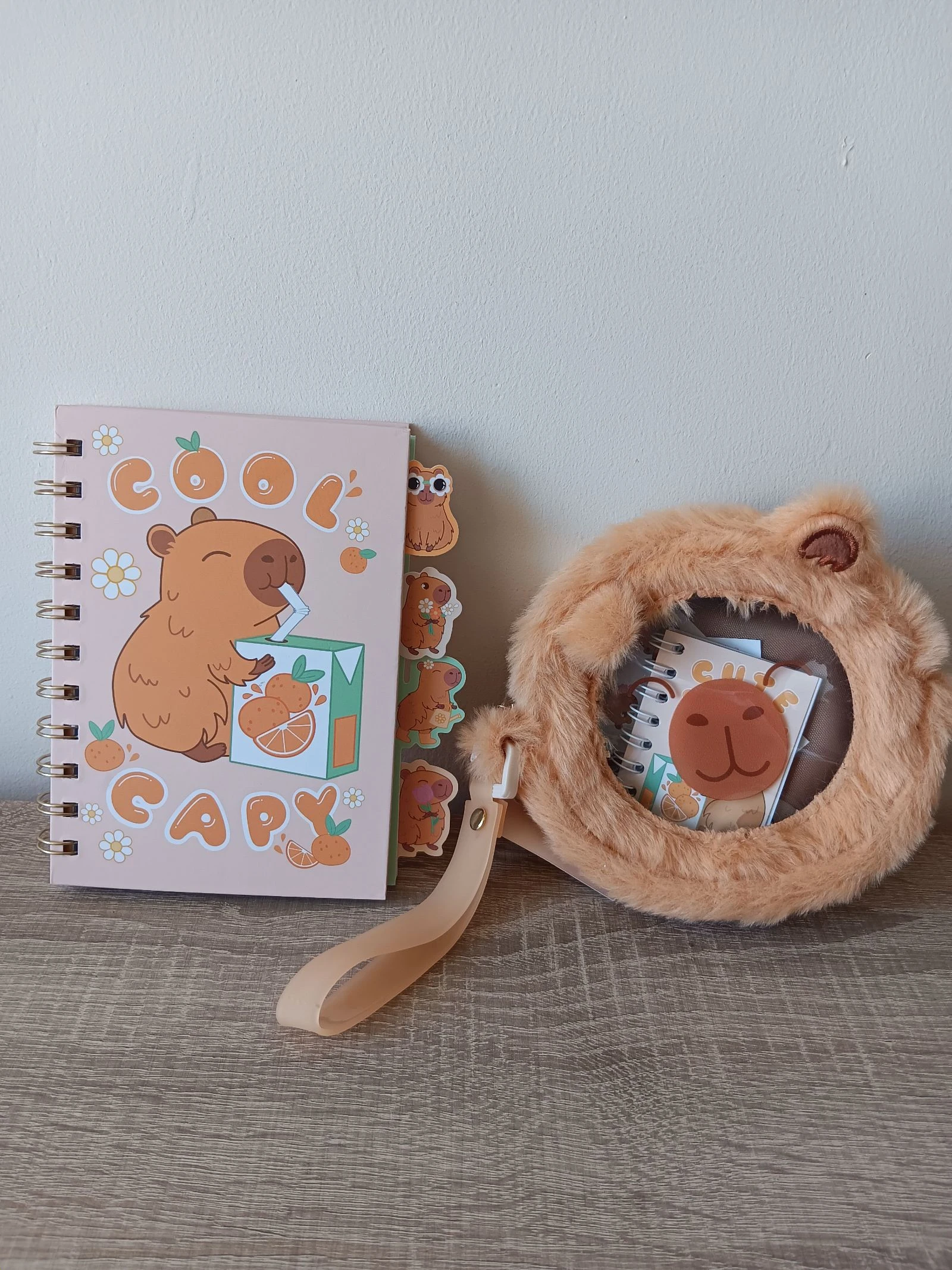 Kit Nuevo capibara, Libreta Nueva de capybara A6 80 y bolso de peluche con stickers y libreta pequeña.